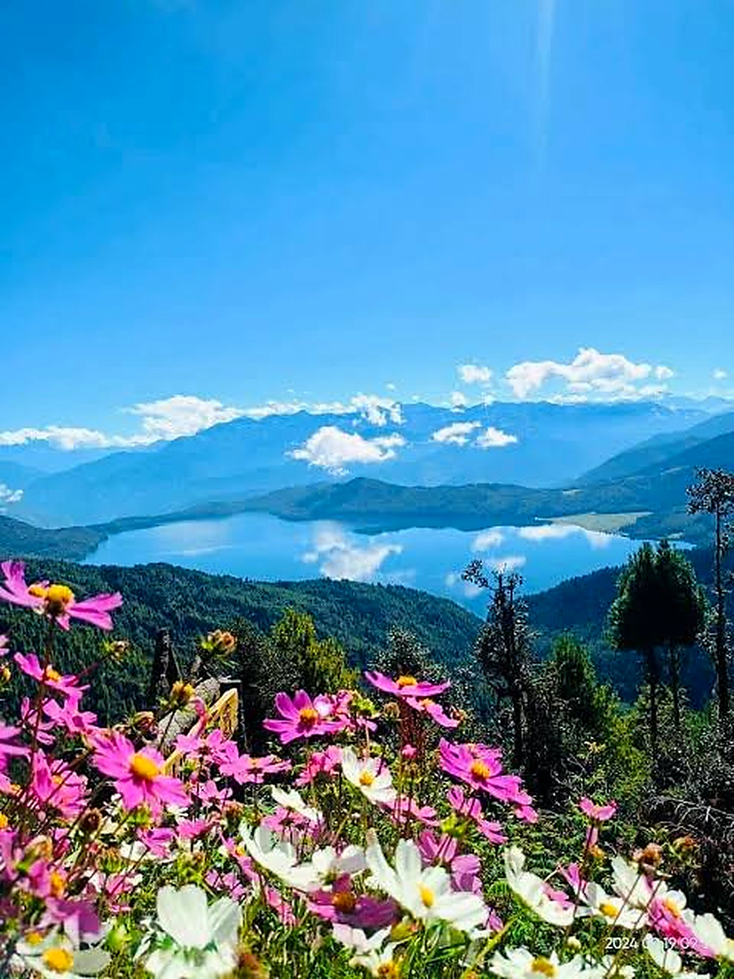 Rara Lake with flowers in the foreground